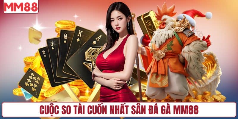 Cuộc so tài cuốn nhất sân đá gà MM88