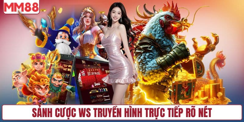 Sảnh cược WS truyền hình trực tiếp rõ nét